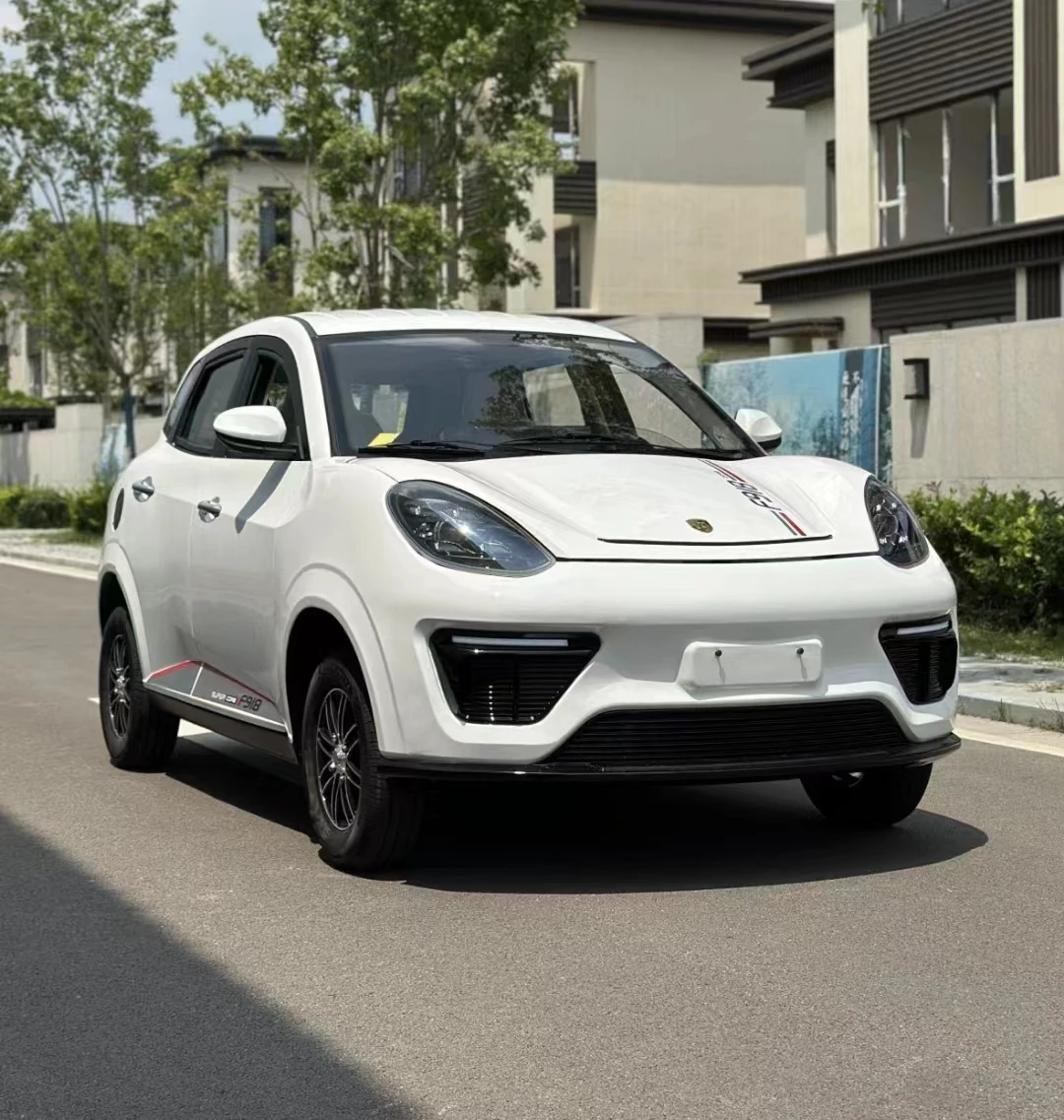 Low Price Four-Wheeled Electric Vehicles, New Energy Family Cars, Scooters, Petrol and Electricity
