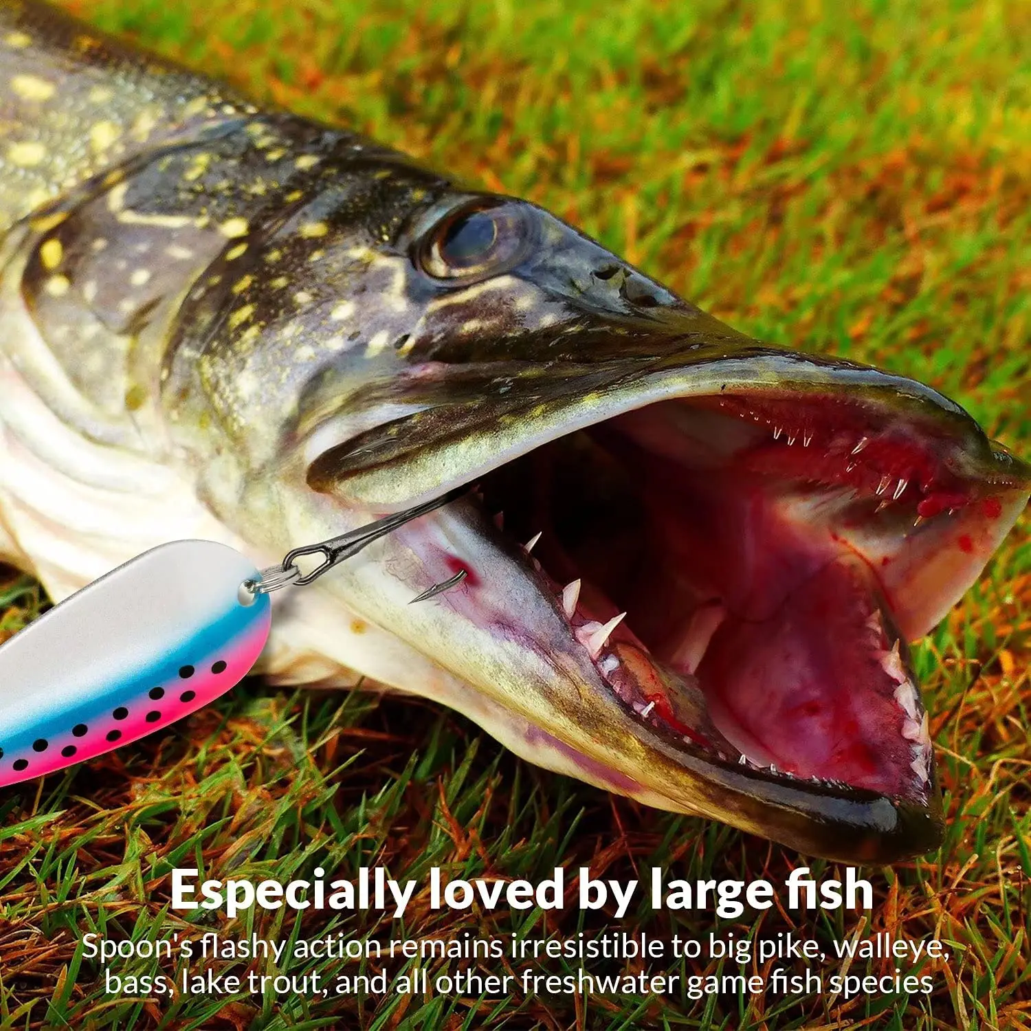 Fishing Lures 10pcs of a set Trout Lures Bass Fishing Spoons Lures