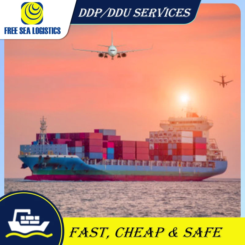 customs clearance services Agent From China to Saudi Arabia/UAE  DDP freight forwarder sea shipping