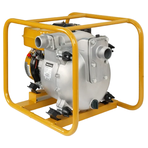 2021 high quality original robin water pump new robin pump heater booster pump 2 inch 3 inch 4 inch for sale