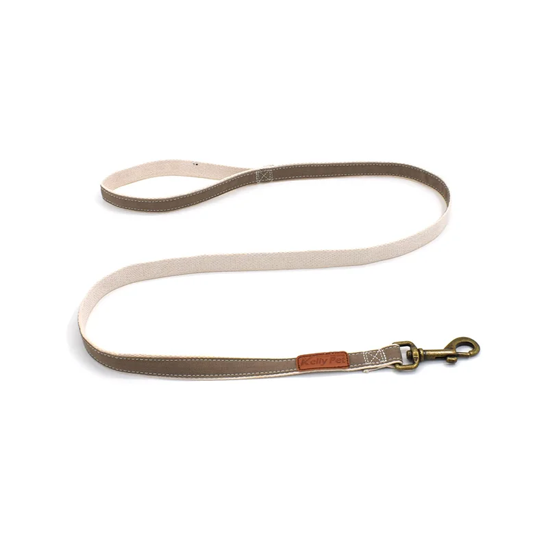 New releases running and trainning retractable canvas rope braided dog leash