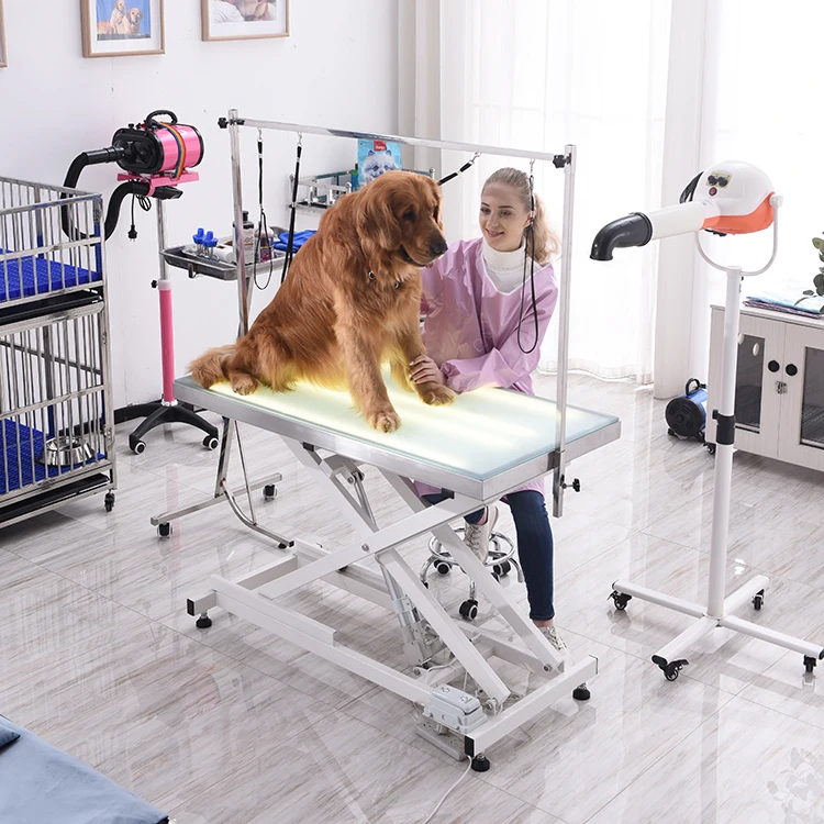 Electric Pet Dog Grooming Table with LED Grooming Table Veterinary Grooming Table