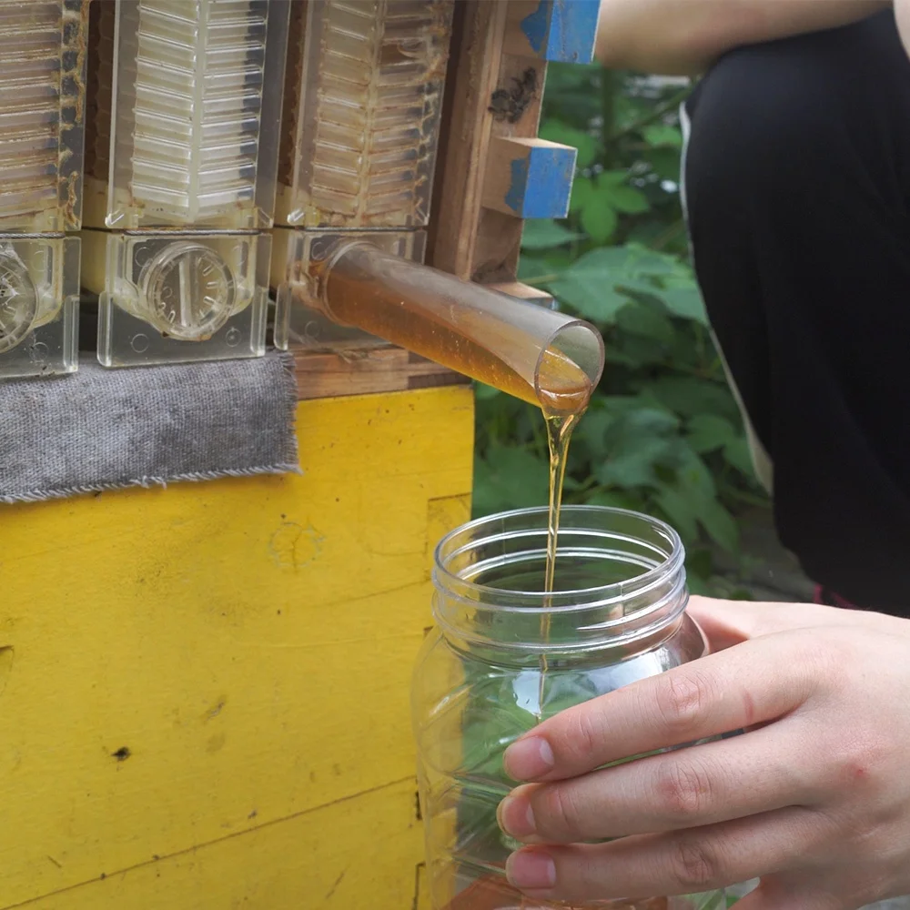 Factory Price Honey Flowing Hive Box House Auto Beehive Flowing Bee Hive For Sale