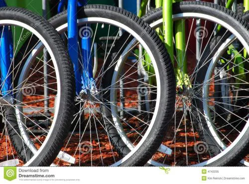 
Manufacturer for bicycle tube in qingdao (VALVE :FV AV EV ,26 28 24,22,20,18,16,14,12) 