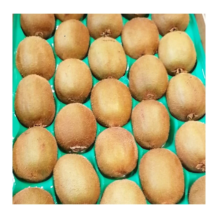 Italian Fresh Fruits Kiwi Green Fresh Kiwi