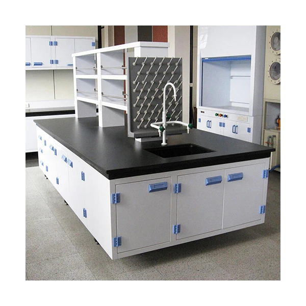 University Laboratory Furniture Scientific Workbench Physics Lab Table