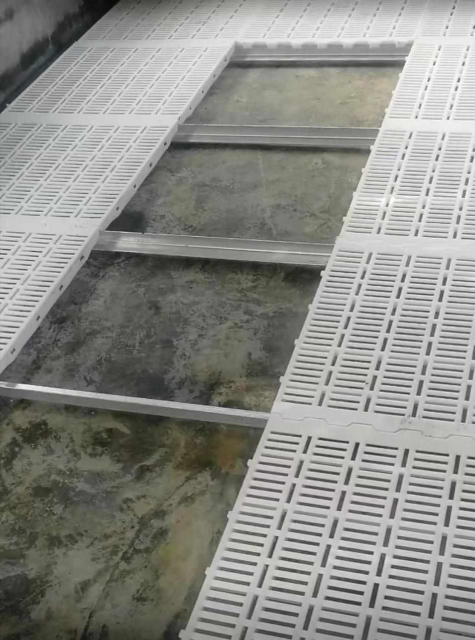 60*60 cm Pigs Slat Flooring Plastic Pig Slatted Floors for Farming Equipment