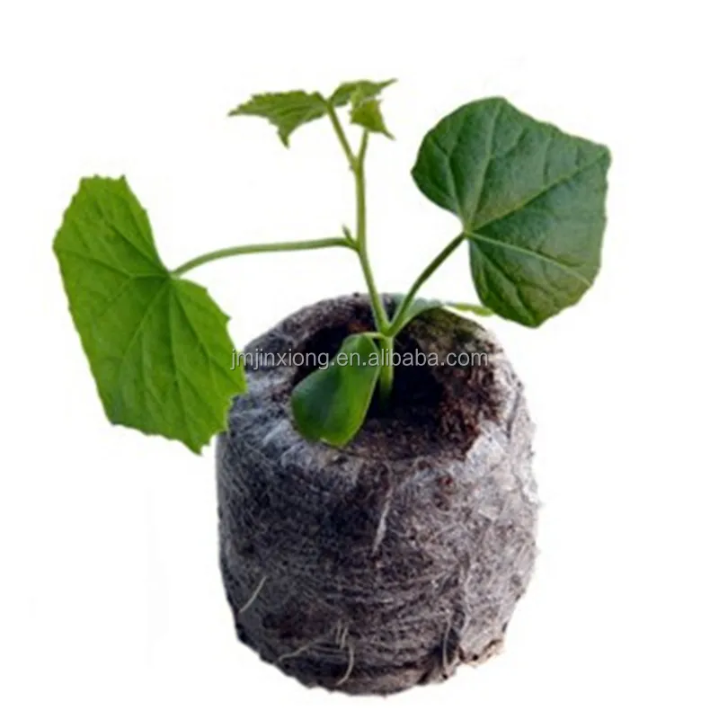 Compressed Seed Starter Germination Vegetables Fruits Soil Disks