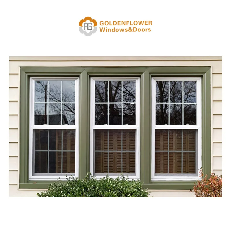 Double glass aluminum double hung windows waterproof awning window wrought  vertical awning double-hung windows