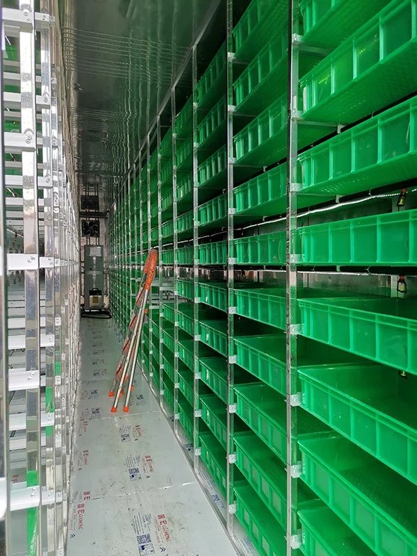 100kg Per Day Automatic Barley Fodder Sprouting Machine | Hydroponic Seed Germination Systems