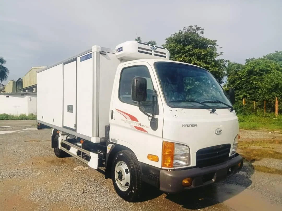 Fiber sheet roll Dry Freight  wall GRP and RVs body wall FRP