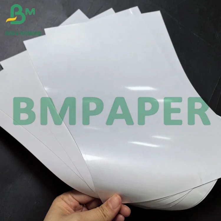 220gsm Top Coated Thermal Synthetic Paper With Hot Melt Thermal PP Roll Paper For Label