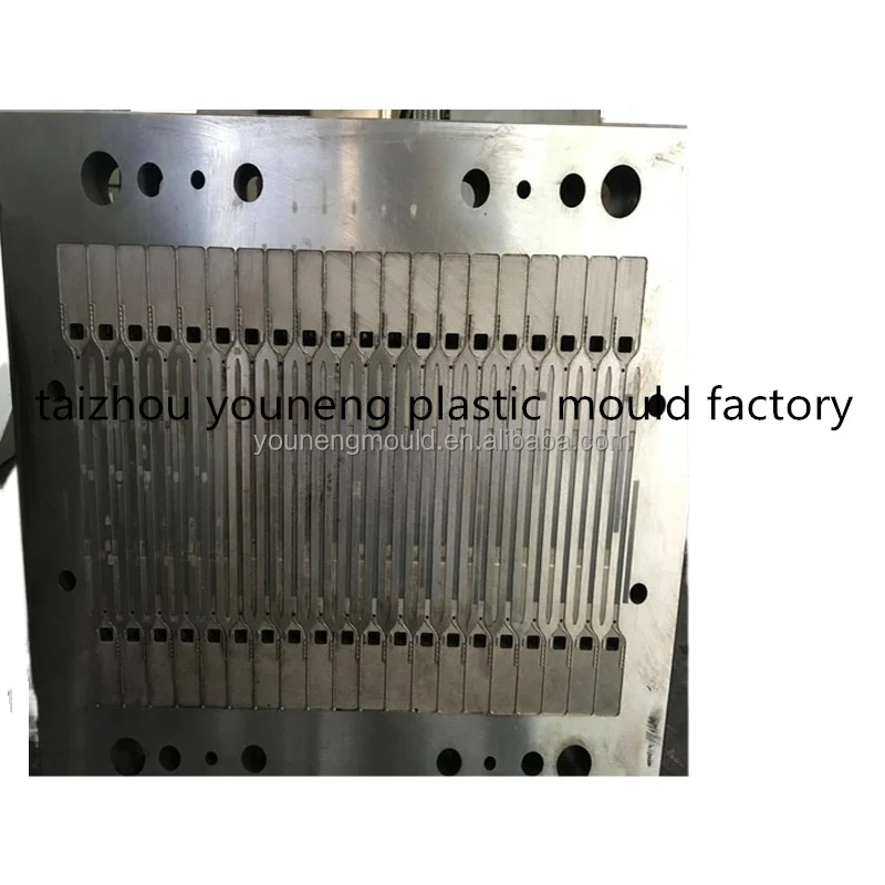 MOULD (16).jpg