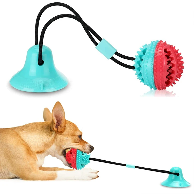 dog toothbrush squeak interactice bite tug toy pills chew toys for aggressive chewers
