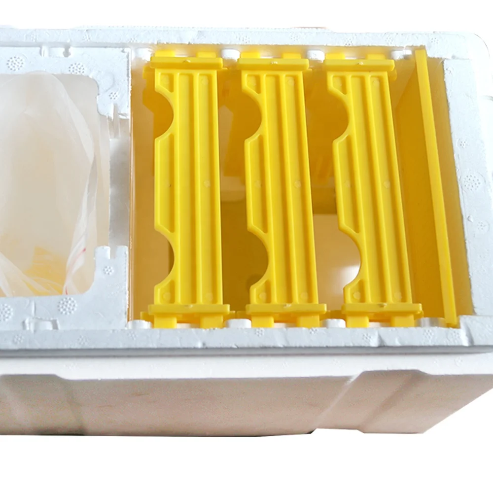 Plastic queen rearing nuc bee box mini queen bee mating box