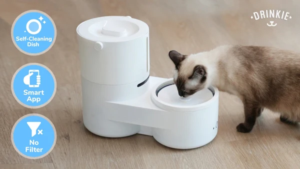 Cheerble Drinkie pets favorite self-cleaning water dispenser dish 100%  remotely and hassle-free Smart app water bowl