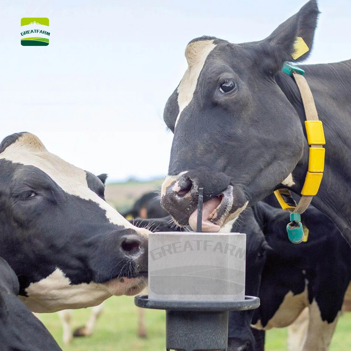 Organic Nutrition Mineral Salt Block for Livestock Farm Long Lasting Animal Licking Block for Cattle Horse Sheep Home Use