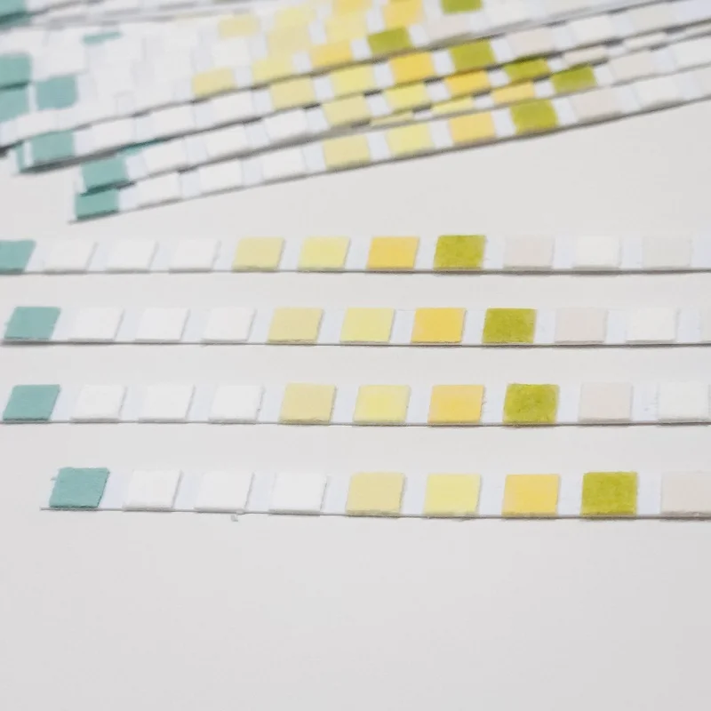 Urine Analysis Test Strip Glucose and Tract Infection Check Strip for self test URS-10A