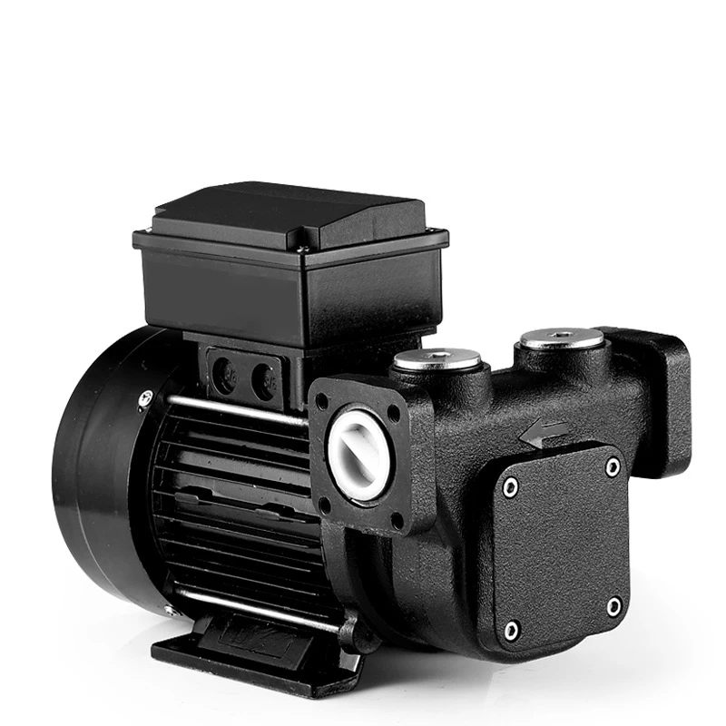 Seirna Electric Diesel Oil Transfer Pump 12V 24V HighQuality Pump for Diesel Oil Transfer with Easy Operation