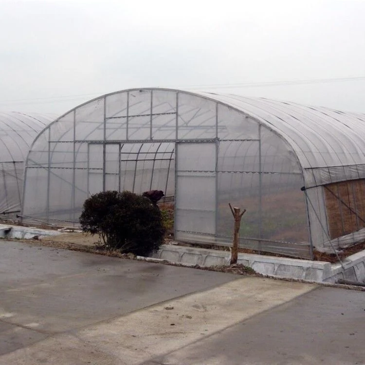 Multi Span экономический туннель пластиковые парниковых сельскохозяйственных расти палатка