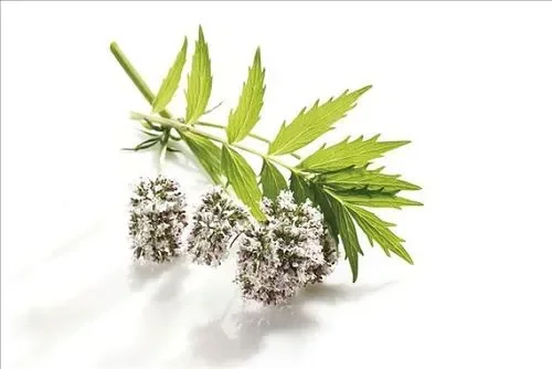 Devotion Factory Provide Best Valerian Essential Oil for Aromatherapy