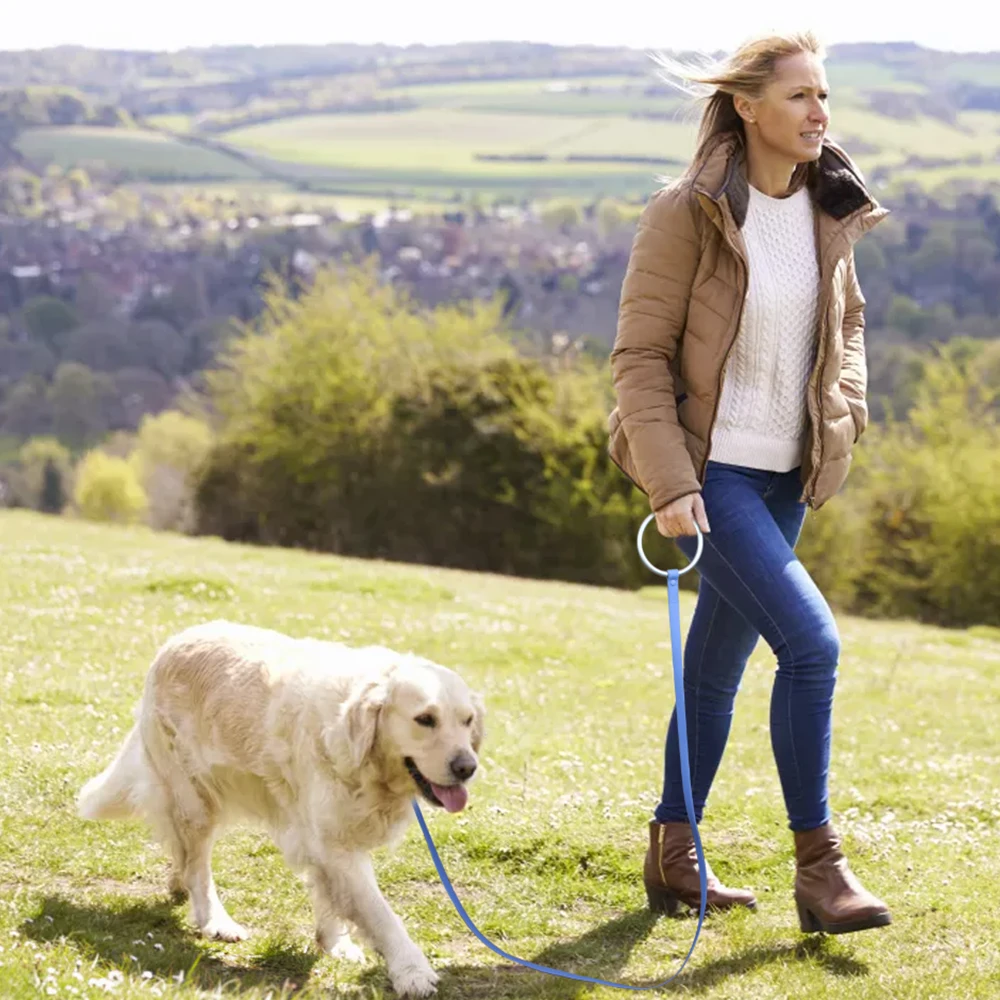 Wholesale Soft New Designer Luxury Anti-bite Aluminum Ring Waterproof PVC Custom Dog Collar and Leash Set