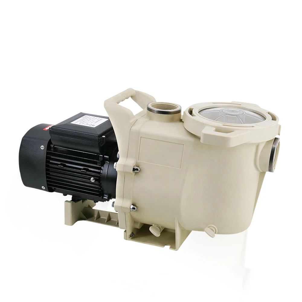 China 0.75kw 1 1.5 hp 3 hp swimming pool water pump