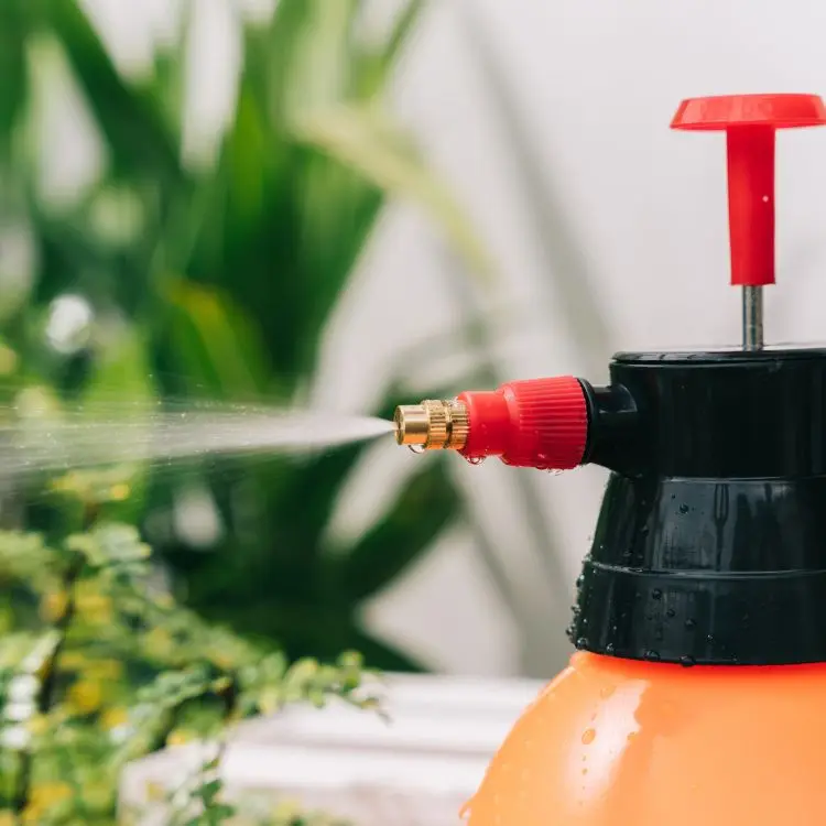 Hot Selling 2 Litre Manual Mist Sprayer Plastic Hand Spray Machine for Gardening and Agriculture for Sprayers