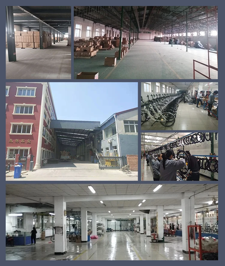 16.7 Ah 27.5 Gas Tire Long Range Electric Bicycle Mountain Cycle E Bike Integrated Battery Electric Bike