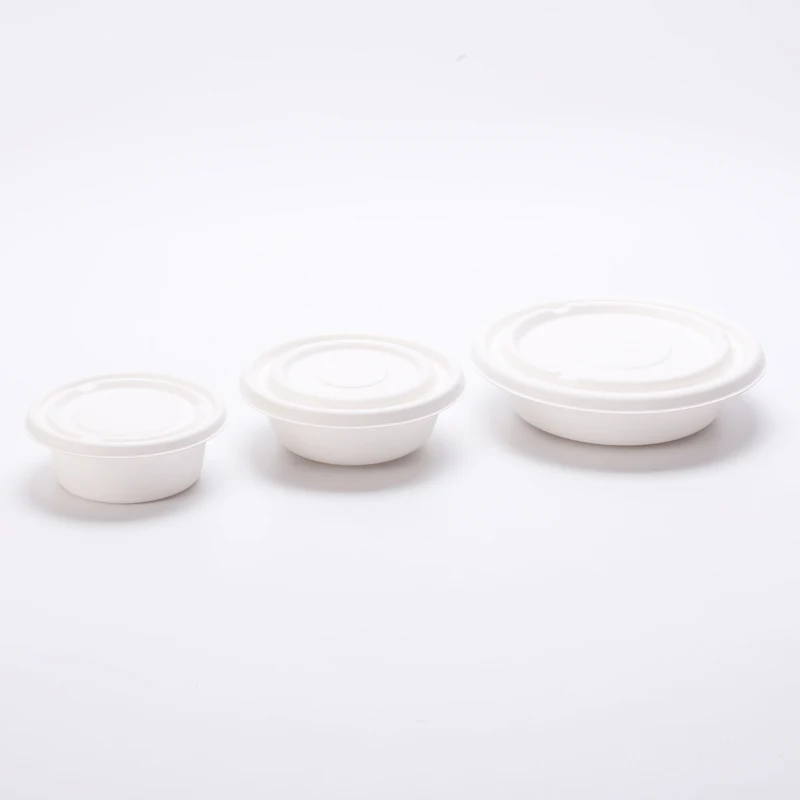 Worth Buying Sugarcane Bagasse Takeaway Tableware Food Bowl Sets Dinnerware