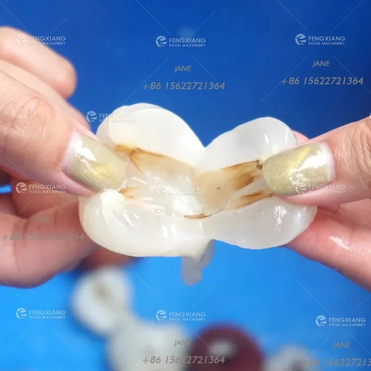 Fengxiang CL-I сливы Decorn вишня нож для удаления сердцевины и нарезания оливковое ядро абрикос камень удалить ФРУКТЫ точечная