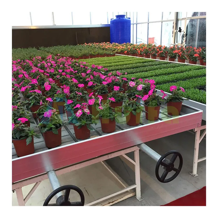 New style adjustable seedbed galvanized rolling greenhouse bench