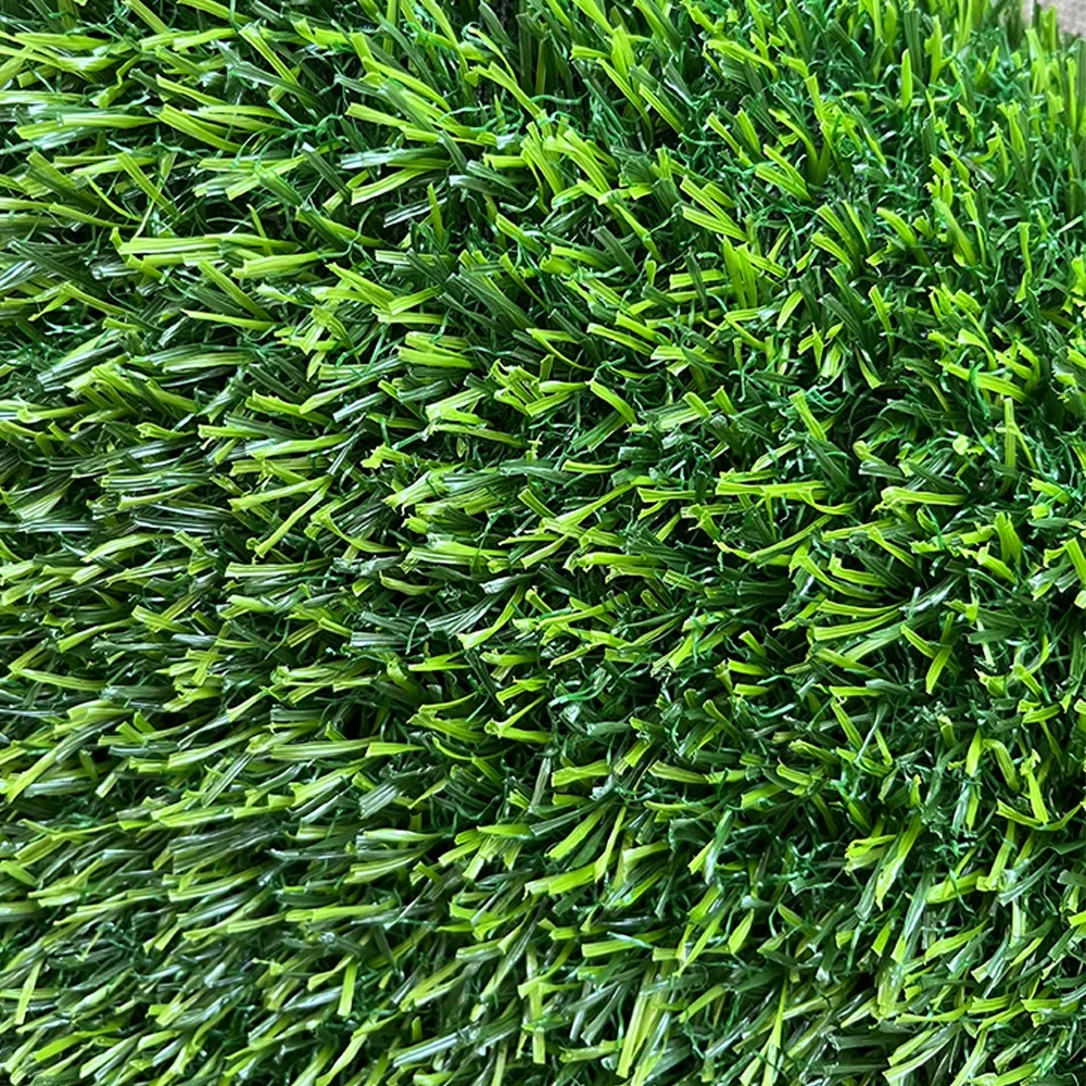 Free Sample Home Faux Grass 20mm 30mm Pile Height Astro Grass Rug for Garden and Backyard