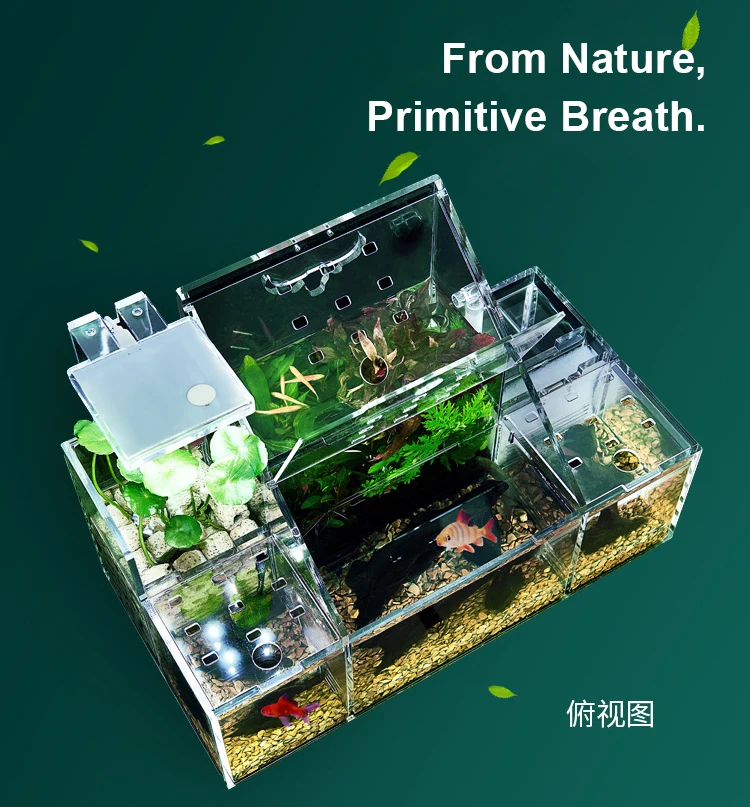 Self-Circulating Breeding&incubation Fish Tank Acrylic Sick Fish Isolation Desktop Aquarium Goldfish Fish Tank with 2.5W Pumps