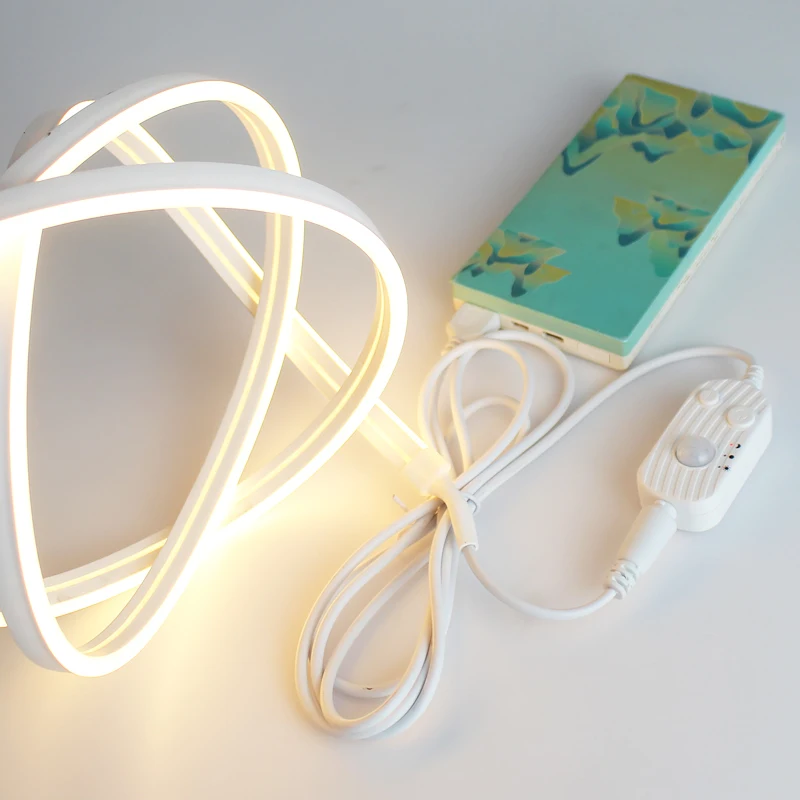 5V flexible neon strip light led low voltage super bright battery box computer usb interface silicone IP65 strip light