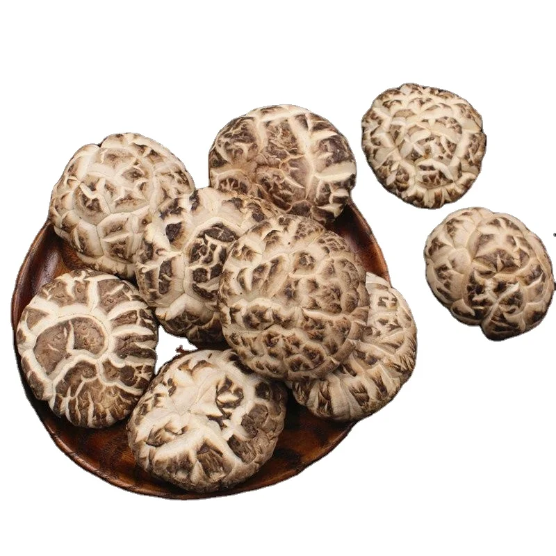High Quality Dried shiitake mushroom grain shiitake mushroom diced dehydrated dried shiitake mushroom