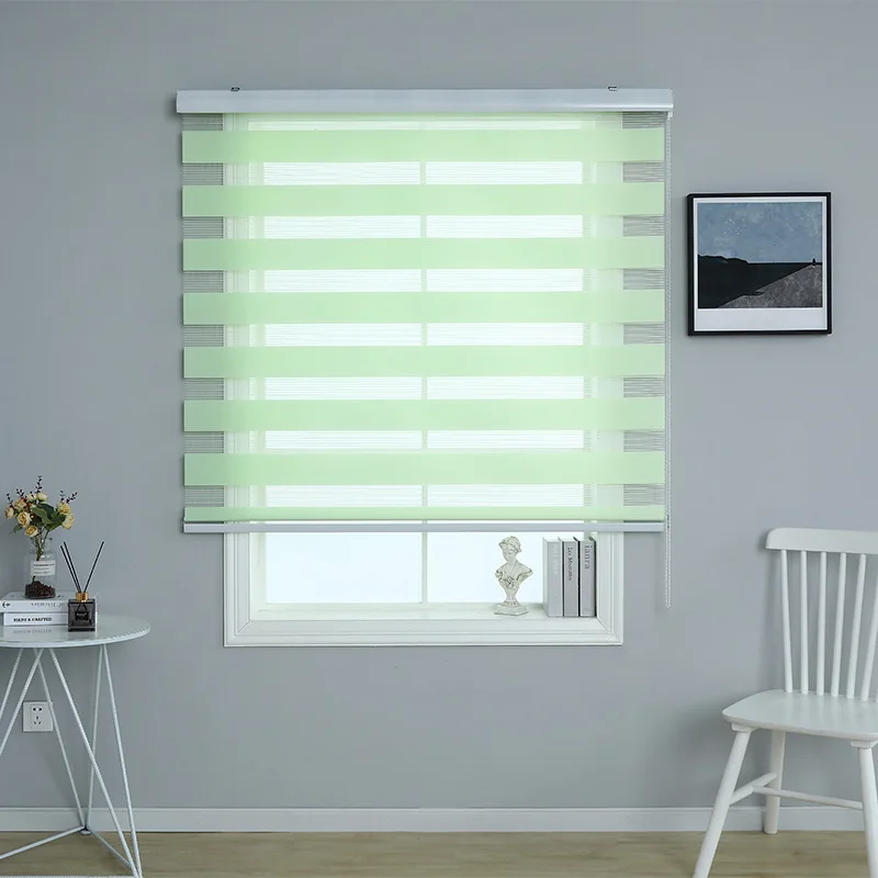 Blinds for Window Dual Layer Roller Zebra Sheer Shades Light Filtering Window Treatments Privacy Zebra Blinds for Day and  night