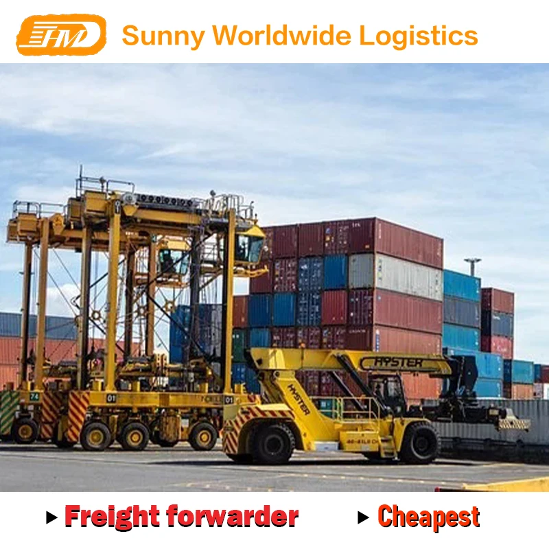 swwls Sea freight Ocean freight Shipping service LCL fcl china to Bonaire Honduras DDP Suriname Haiti