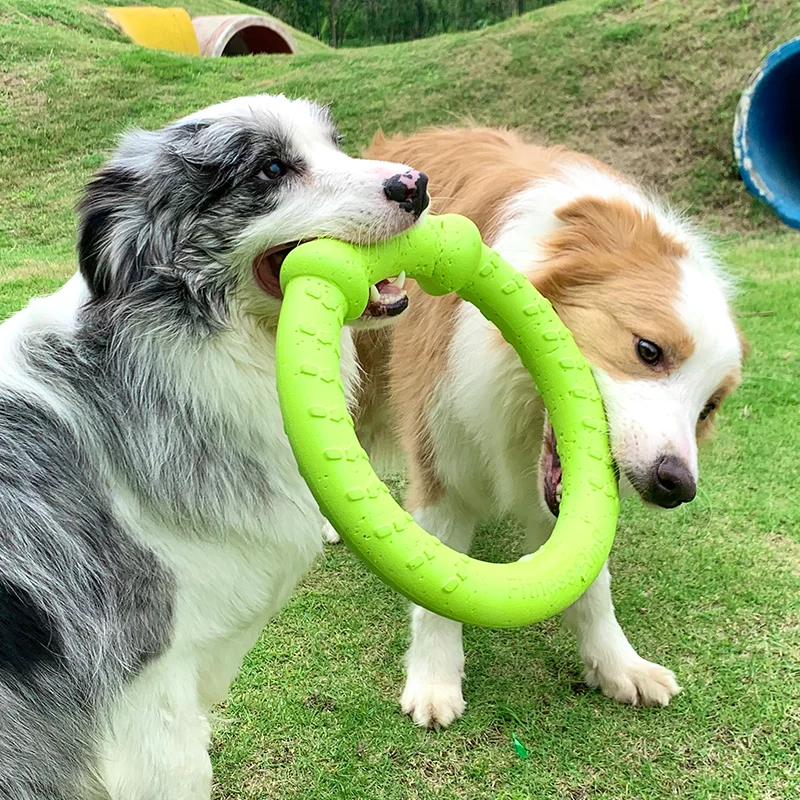 LaRoo 2024 Hot Sale Dog durable Chew Tooth Cleaning Toy EVA Dog Toy Ball Interactive large Dog Chew Rope Toy