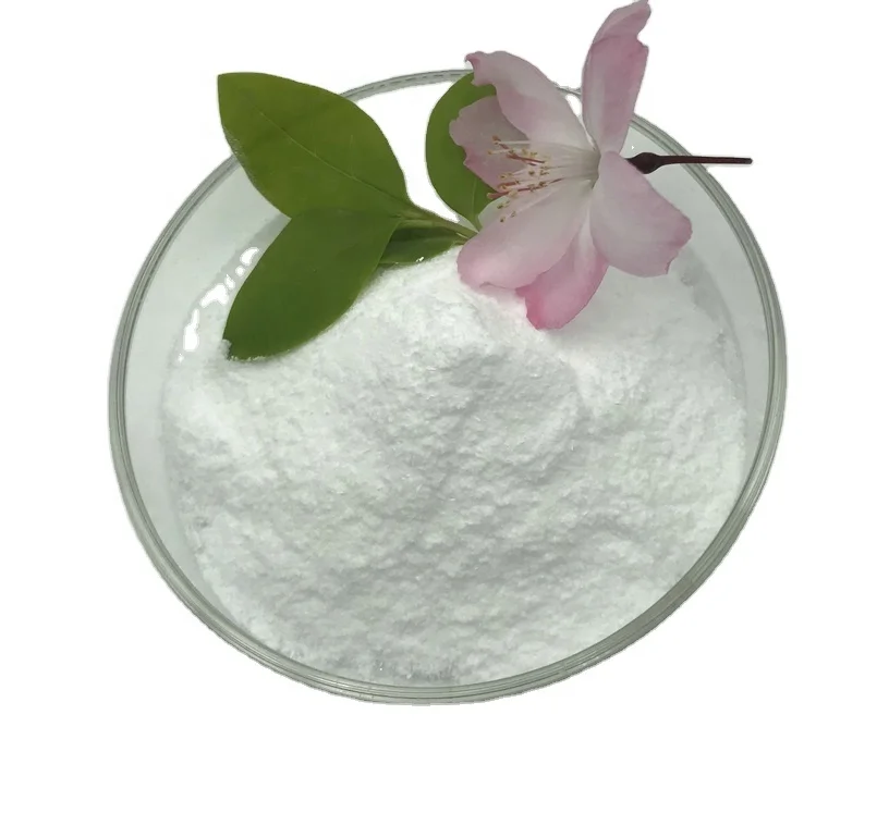 Granule Pellets Virgin  PLA Polylactic Acid Resin Raw Material   Plastic Bag Accept Biodegradable Bio