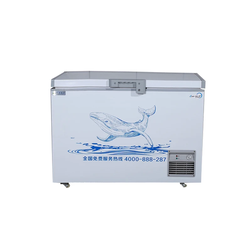 Professional deep price commercial ice cream 12v 24v solar refrigerator fridge freezer professional manufacture the best China