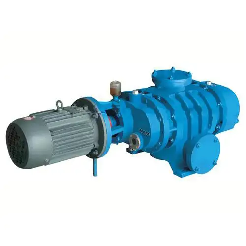 Top Quality Vacuum Pump Air Cooled Cycle Gas Circulating High Capacity Roots Vacuum Pump