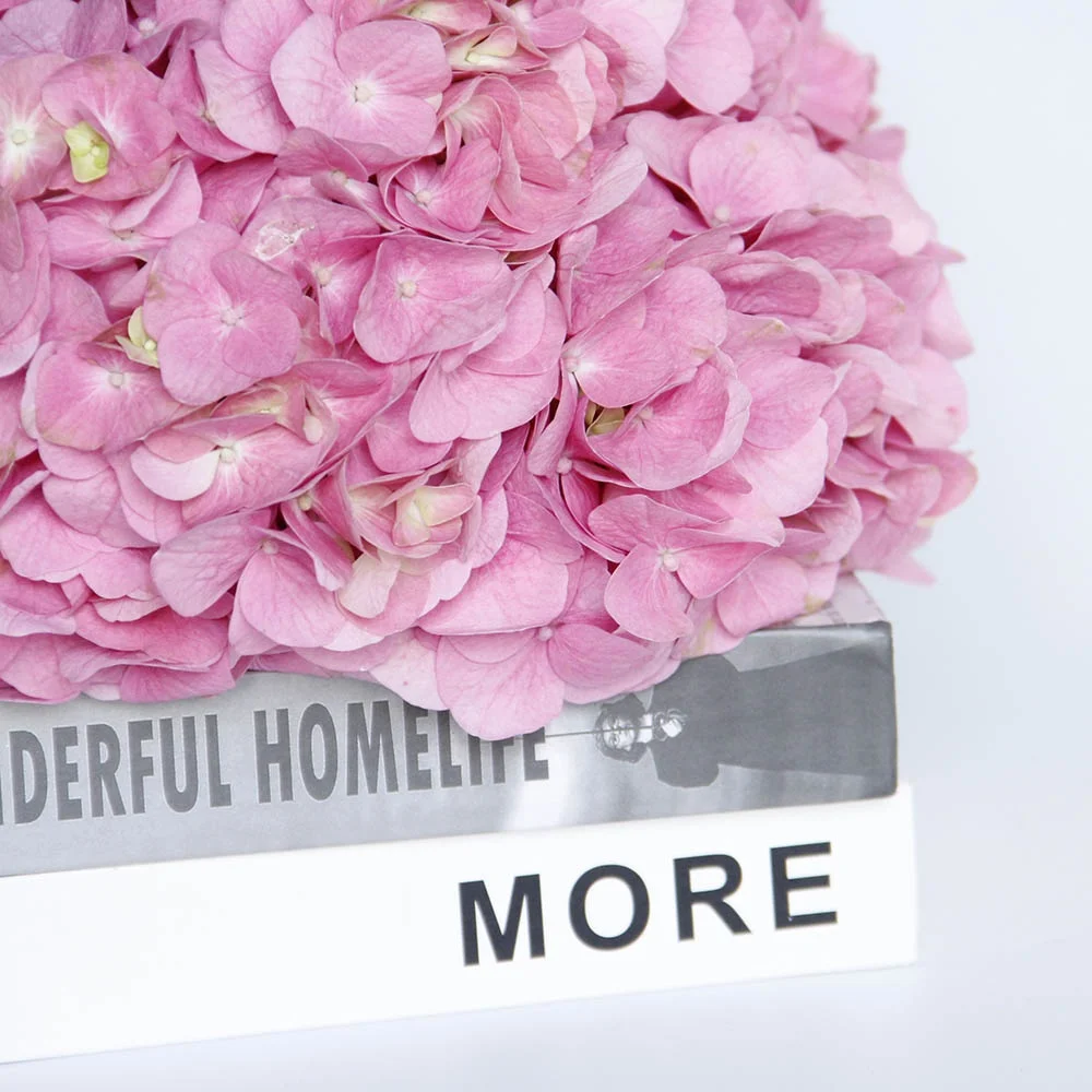 New Arrival Fresh Cut Flowers Hydrangea From Kunming Dounan for Wreath Decoration Ornamental Plants