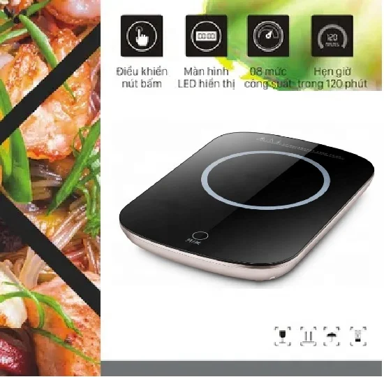 Low price customized single induction cooker with 2200W 220v ultra thin touch control electric induction stove