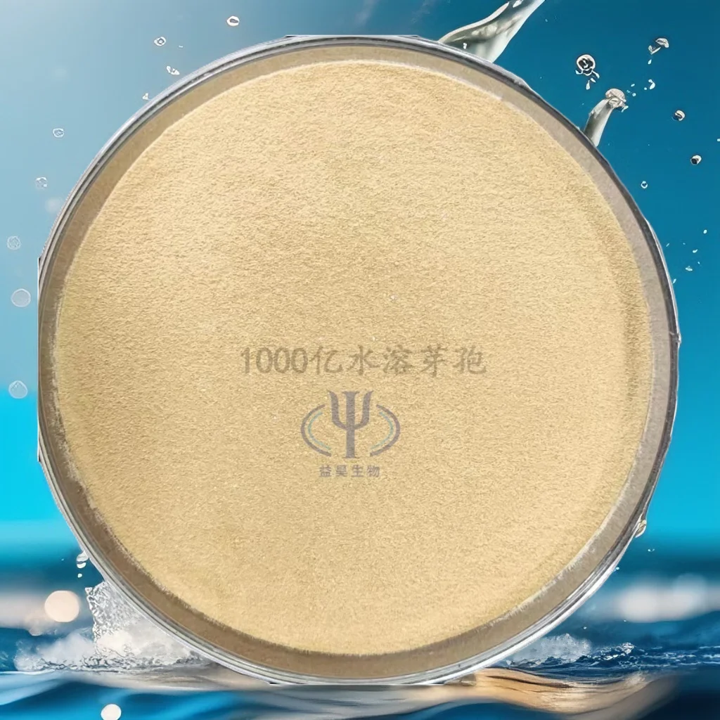 Wholesale 100 Billion Bacillus Subtilis Probiotics for Fish Aquaculture Effective Intestinal Regulator