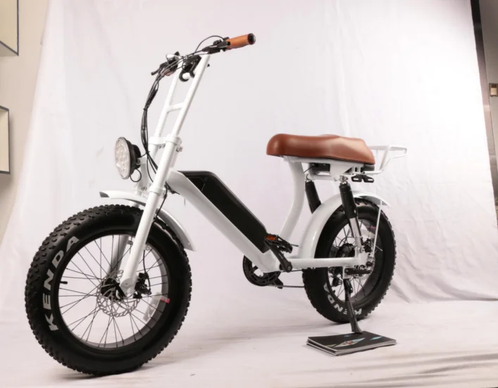 China low price customized 500W / 750W 1000w 48V retro fat tire ebike 20inch full suspension electric bike bicycle