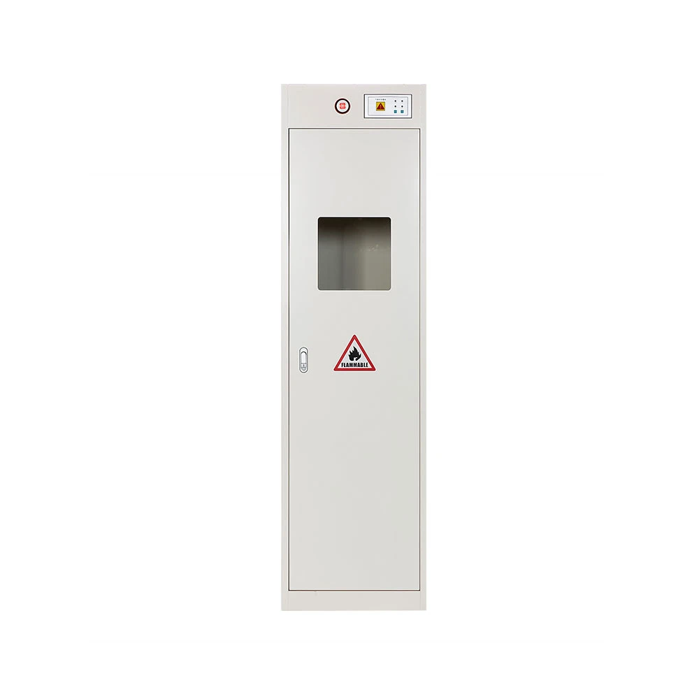 
Laboratory Furniture Explosion Proof Gas Cylinder Storage Cabinets Single Door 