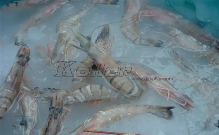 Koller 1000ky/day Slurry Ice Machine for Pipe Cleaning Ice Pigging SF10 Africa