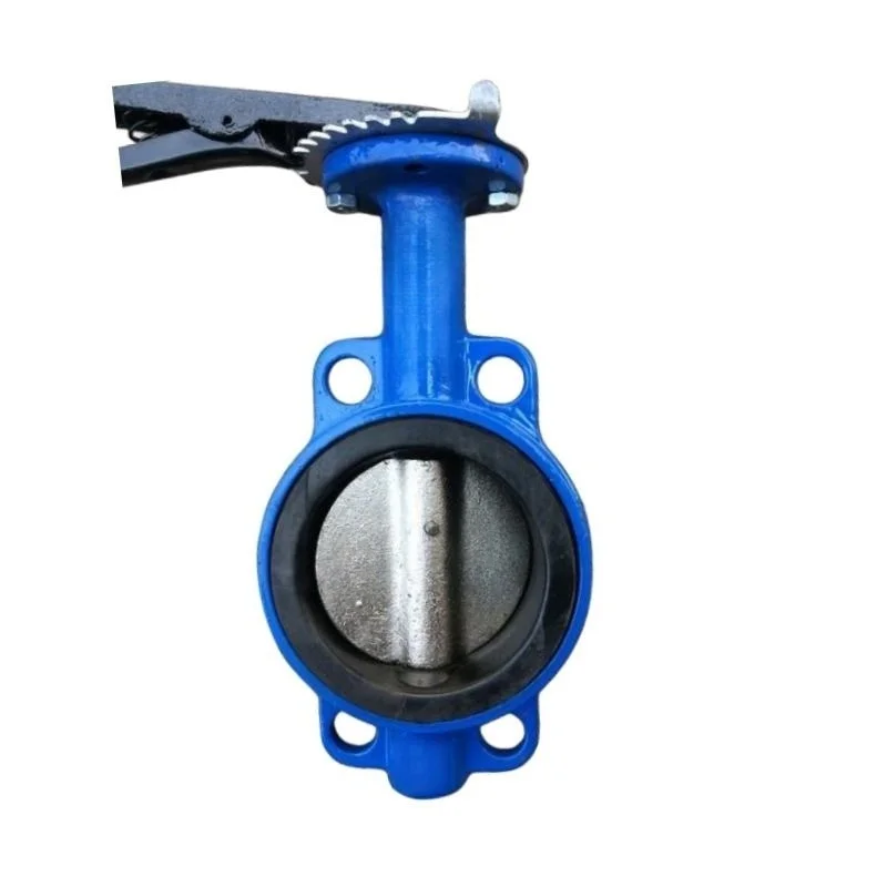 fabrication services machining Sand Casting flange Lugged Wafer Type Butterfly Valve