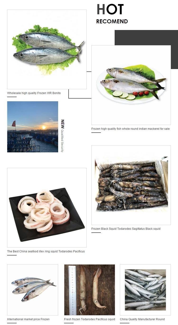 gaint squid tentacles lllex Argentinus